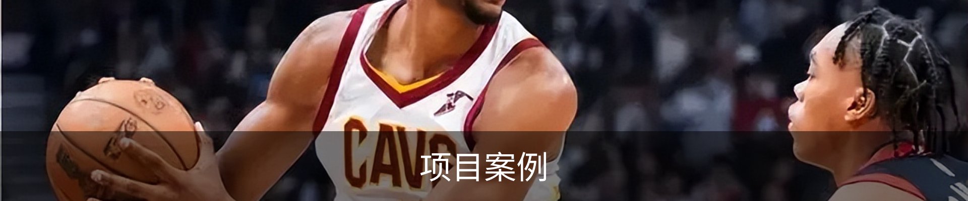 项目案例